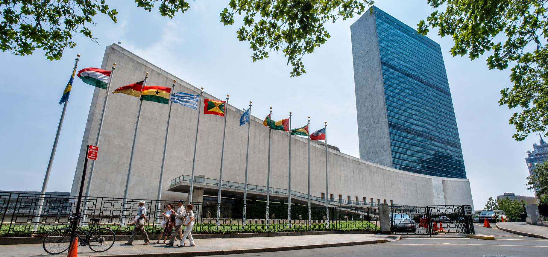 UNEDP Homepage Hero